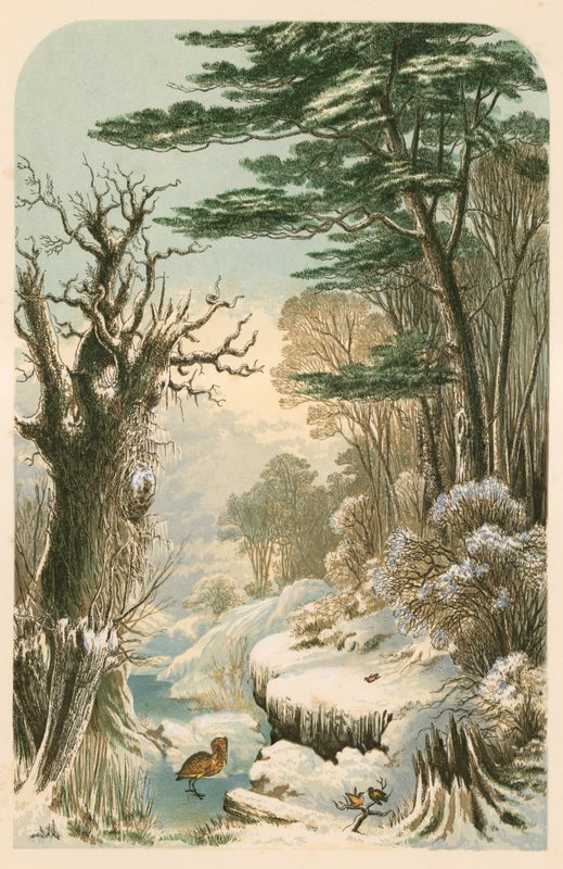 Kuvitus Longfellow