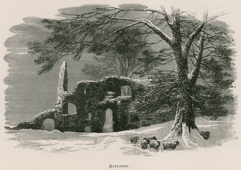 Kirkstall Abbey, keittiö tekijältä Alexander Francis Lydon
