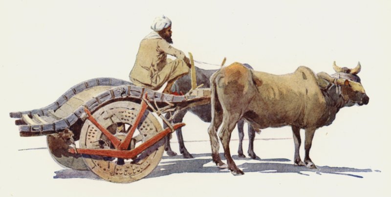 Bullock-kärry, Jodhpur tekijältä Alexander Henry Hallam Murray