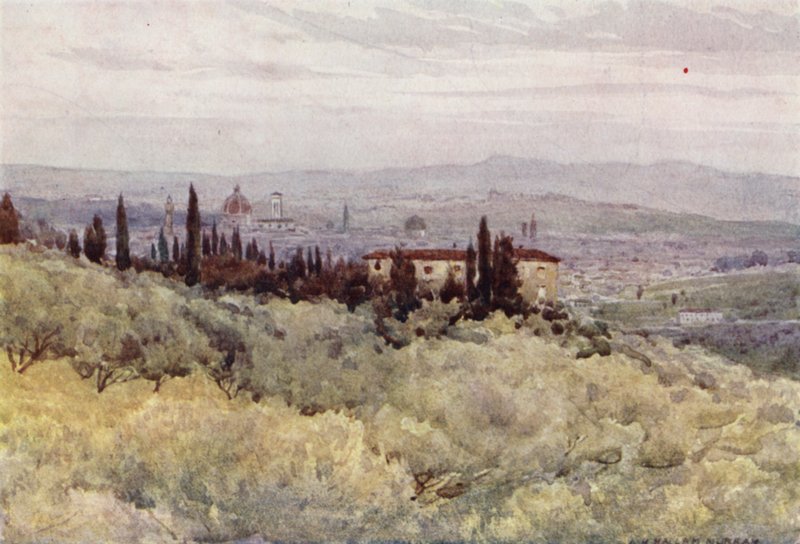 Firenze San Domenicon oliivipuutarhasta (värilitho) tekijältä Alexander Henry Hallam Murray