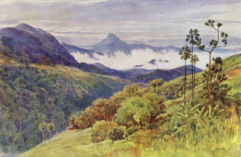 Aamusumut Mahaweli Gangan laaksossa (väri litho) tekijältä Alexander Henry Hallam Murray