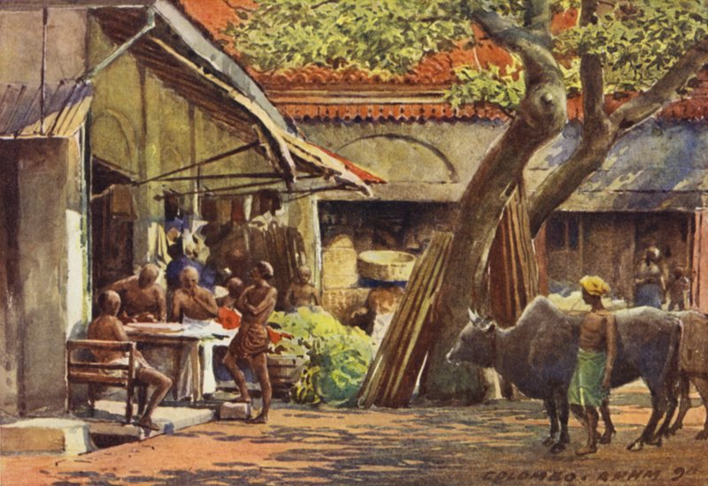 Markkinat, Colombo tekijältä Alexander Henry Hallam Murray