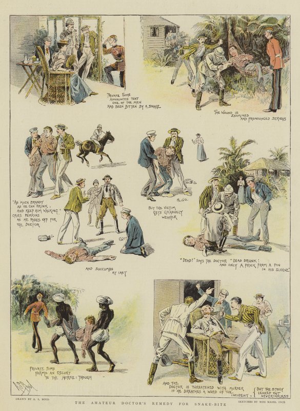 Amatöörilääkärin lääke käärmeenpuremaan (chromolitho) tekijältä Alexander Stuart Boyd