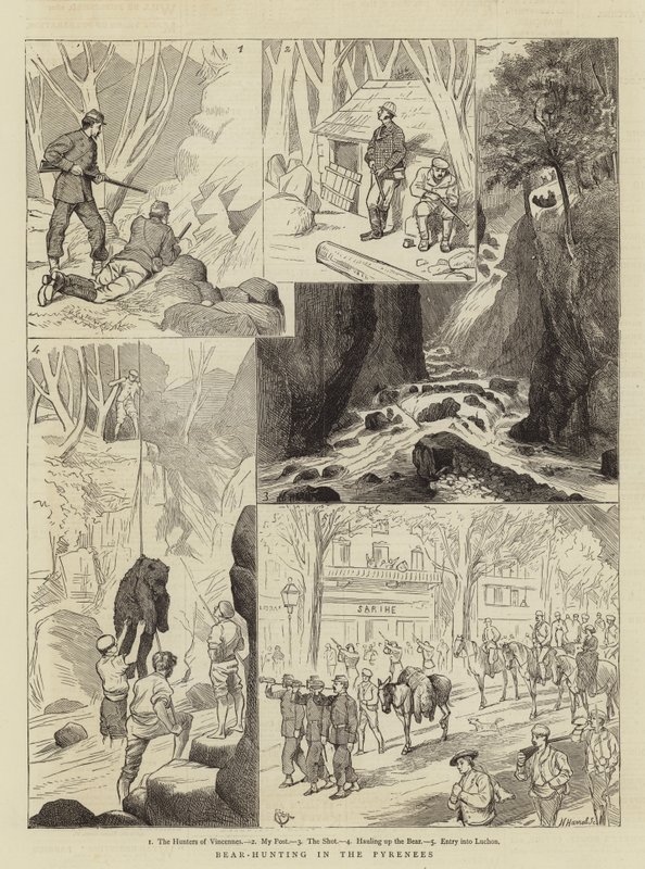 Karhunmetsästys Pyreneillä tekijältä Alfred Chantrey Corbould