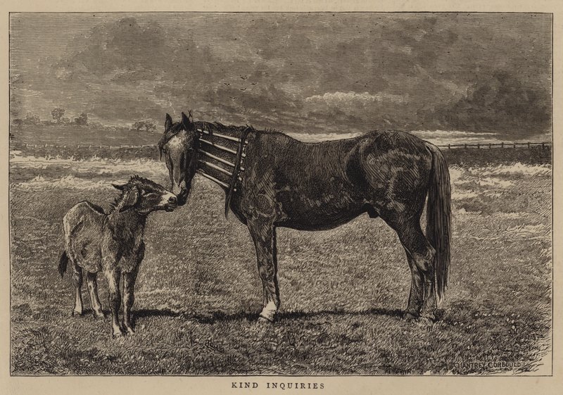Ystävälliset Tiedustelut tekijältä Alfred Chantrey Corbould