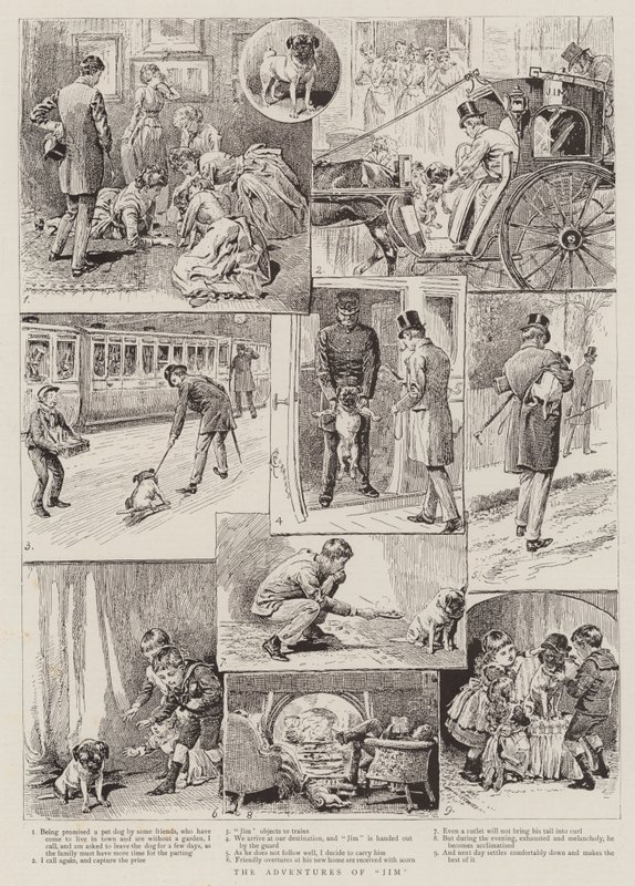 Jimin seikkailut tekijältä Alfred Chantrey Corbould