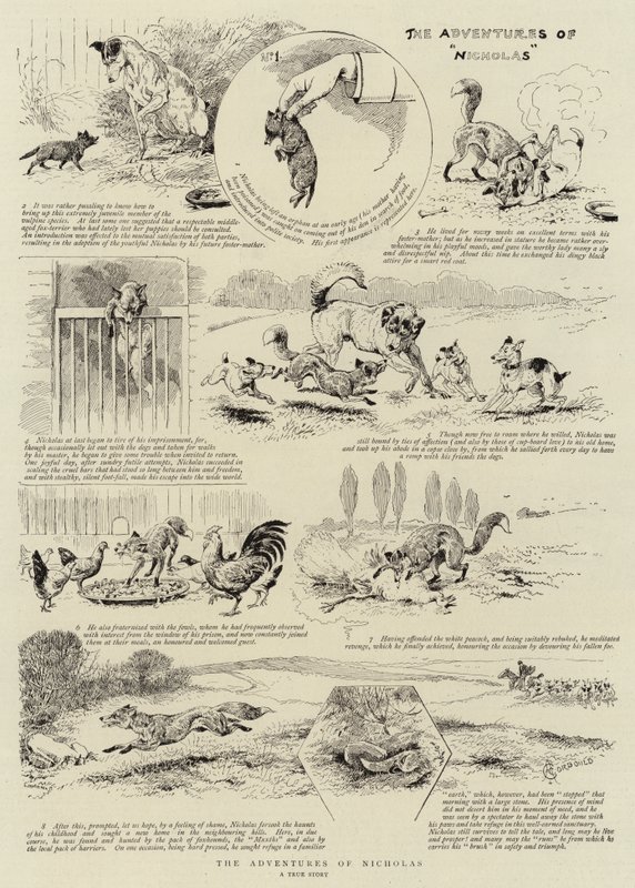 Nicholasin seikkailut tekijältä Alfred Chantrey Corbould