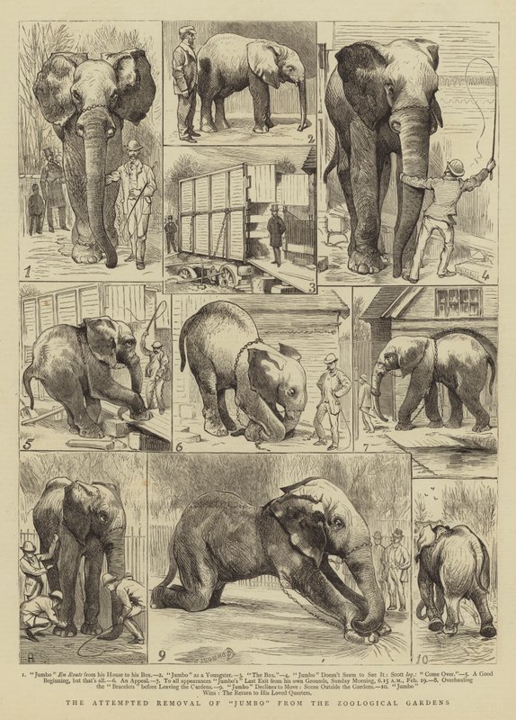 Jumbon poistamisyritys eläintarhasta tekijältä Alfred Chantrey Corbould
