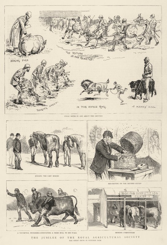 Royal Agricultural Societyn juhlapäivä tekijältä Alfred Chantrey Corbould