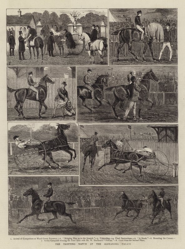 Raviottelu Alexandra Palacessa tekijältä Alfred Chantrey Corbould