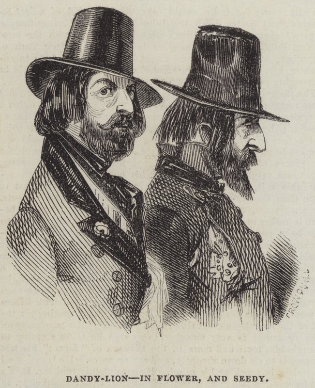 Dandy-Lion, Flower ja Seedy tekijältä Alfred Crowquill