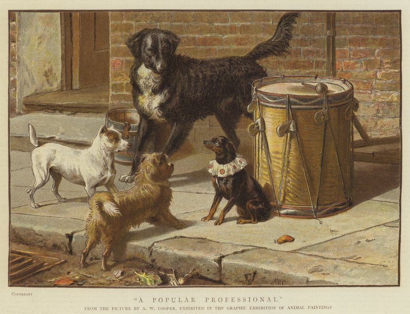 Suosittu ammattilainen (chromolitho) tekijältä Alfred W. Cooper