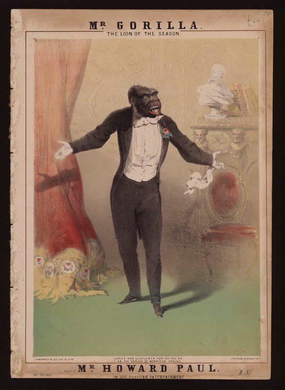 "Olen herra Chaillun gorilla" (väri litho) tekijältä Alfred (after) Concanen