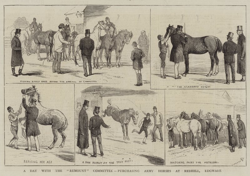 Päivä Remount-komitean kanssa, ostamassa armeijahevosia Redhillistä, Edgwaresta tekijältä Alfred Chantrey Corbould