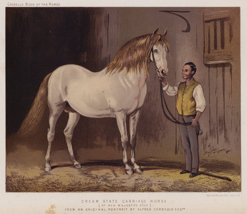 Cream State Carriage Horse, Her Majesty