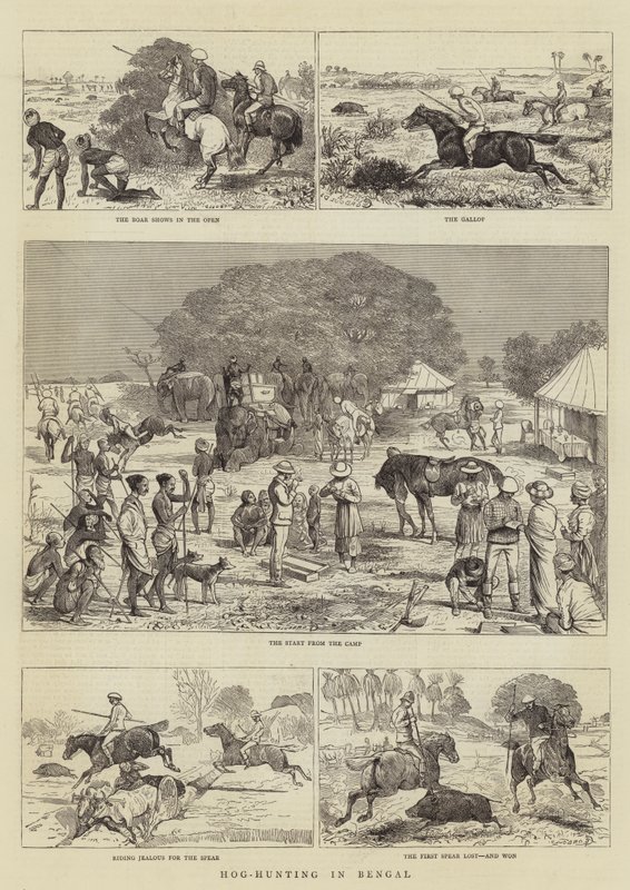 Sikojen metsästys Bengalissa tekijältä Alfred Chantrey Corbould