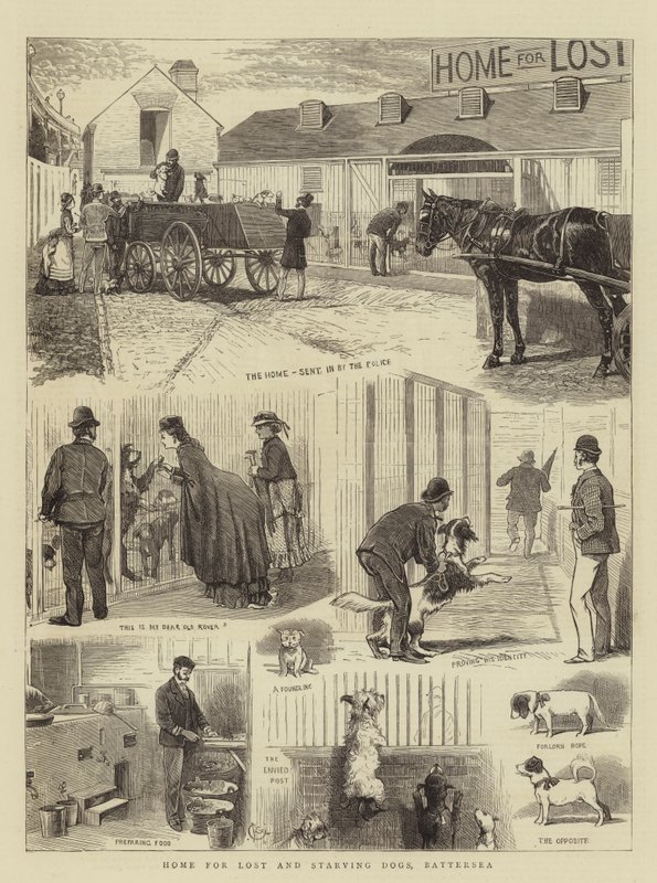 Kadonneiden ja nälkäisten koirien koti, Battersea tekijältä Alfred Chantrey Corbould