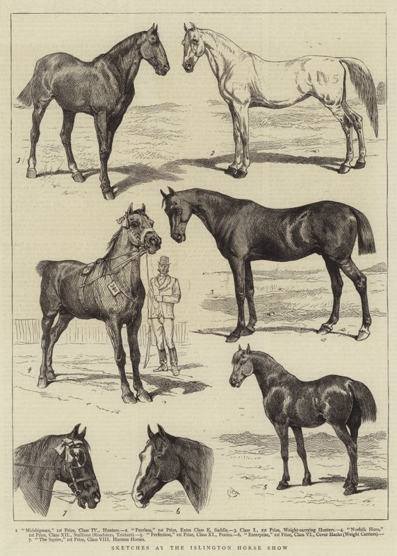 Luonnokset Islington Horse Showssa tekijältä Alfred Chantrey Corbould