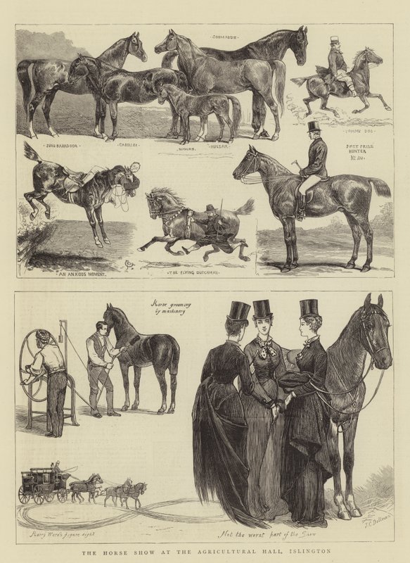 Hevosnäyttely Agricultural Hallissa, Islingtonissa tekijältä Alfred Chantrey Corbould