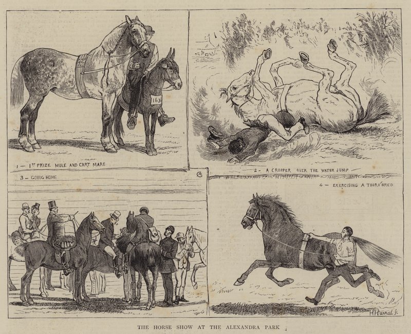 Hevosnäyttely Alexandra Parkissa tekijältä Alfred Chantrey Corbould