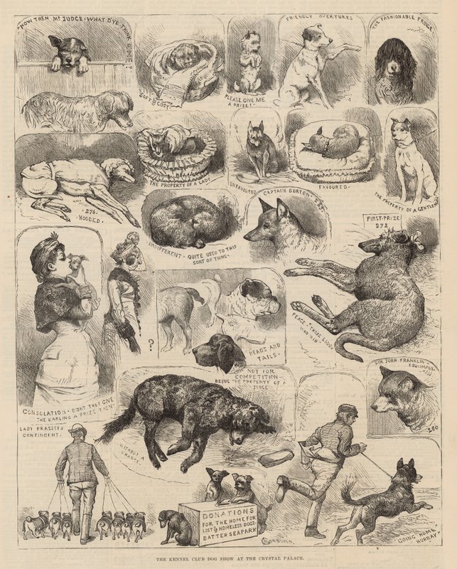 Kennelliiton koiranäyttely Crystal Palacessa tekijältä Alfred Chantrey Corbould