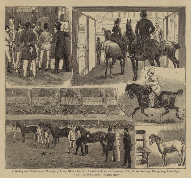 Metropolitan Horse-Show tekijältä Alfred Chantrey Corbould
