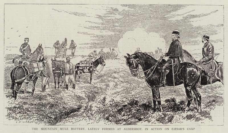 Mountain Mule Battery, äskettäin muodostettu Aldershotissa, toiminnassa Caesarin leirillä tekijältä Alfred Chantrey Corbould