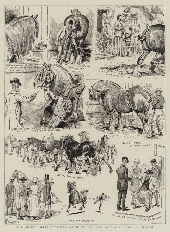 Shire Horse Society Show Agricultural Hallissa, Islingtonissa tekijältä Alfred Chantrey Corbould
