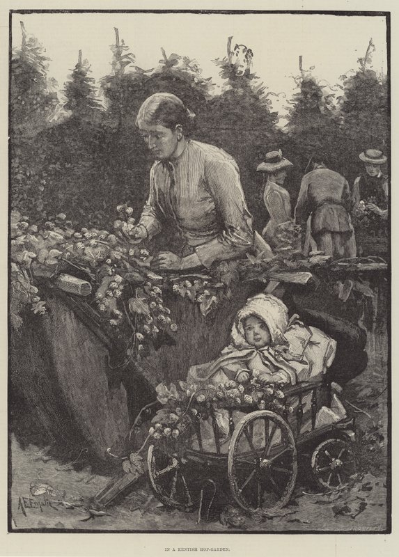Kenttiläisessä humalapuutarhassa tekijältä Alfred Edward Emslie