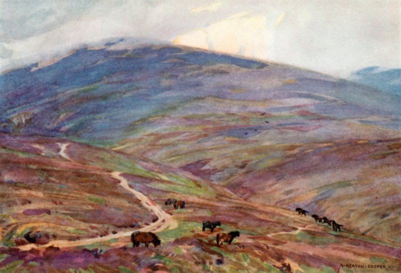 Exmoor ponit, Dunkery Beaconin alla (väri litho) tekijältä Alfred Heaton Cooper