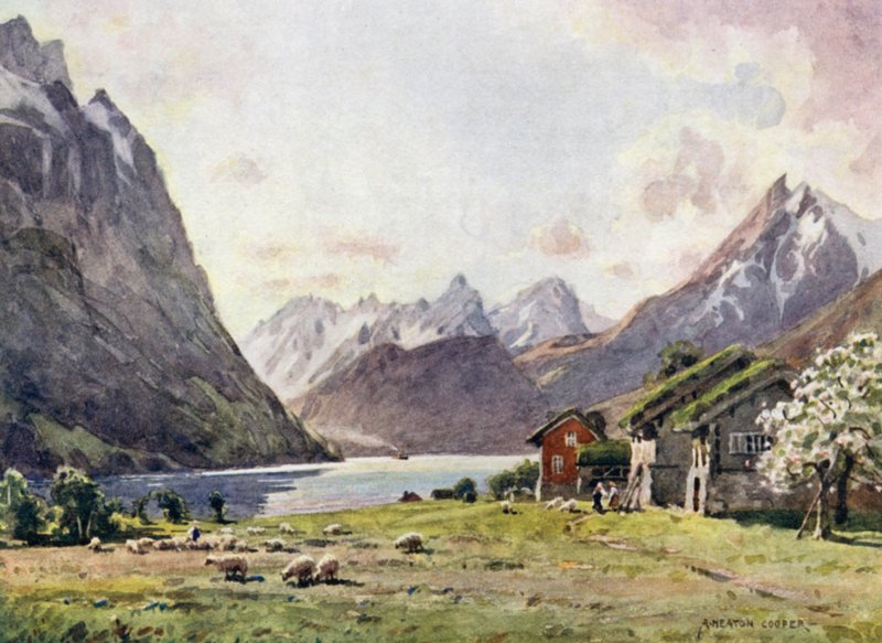 Hjorund Fjord, hanhi tekijältä Alfred Heaton Cooper