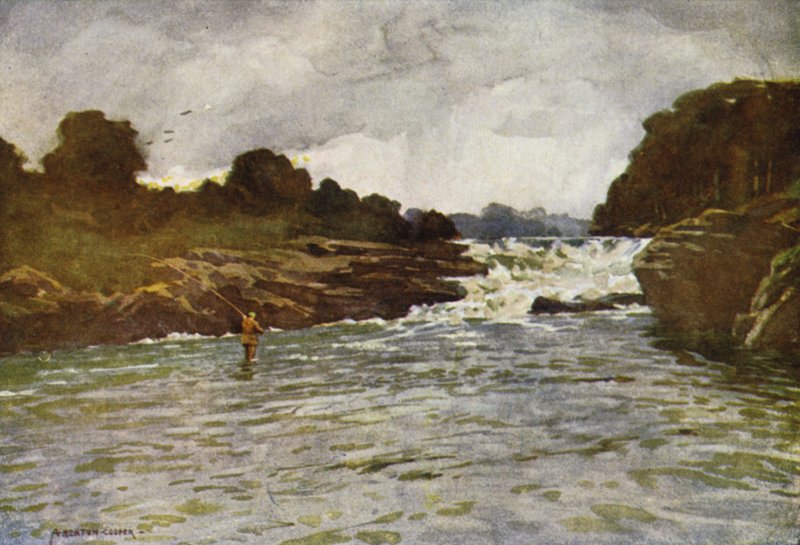 Kathleens Falls, Ballyshannon tekijältä Alfred Heaton Cooper