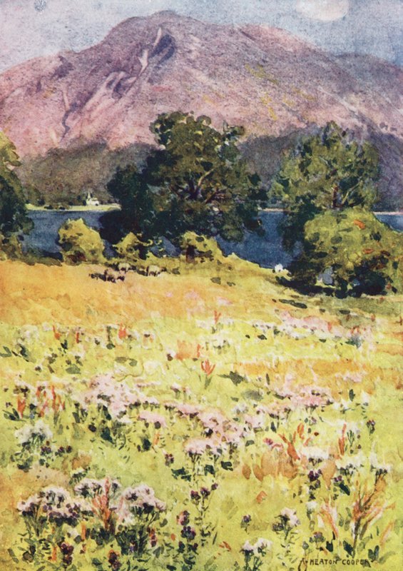 Lake District: Bassenthwaite Lake ja Skiddaw (värilitro): Bassenthwaite Lake ja Skiddaw (värilitro) tekijältä Alfred Heaton Cooper