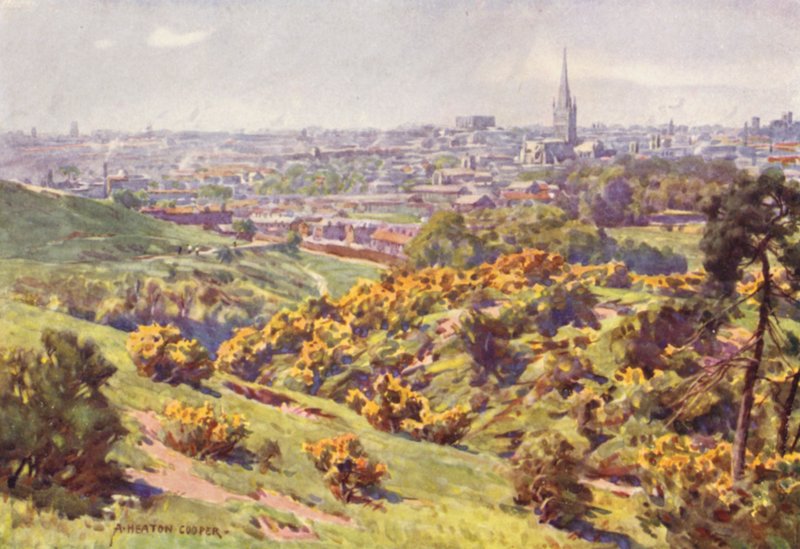Norwich Mousehold Heathistä, Norfolkista tekijältä Alfred Heaton Cooper