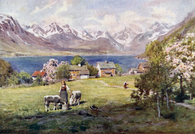 Romsdal Fjord, Naesista tekijältä Alfred Heaton Cooper