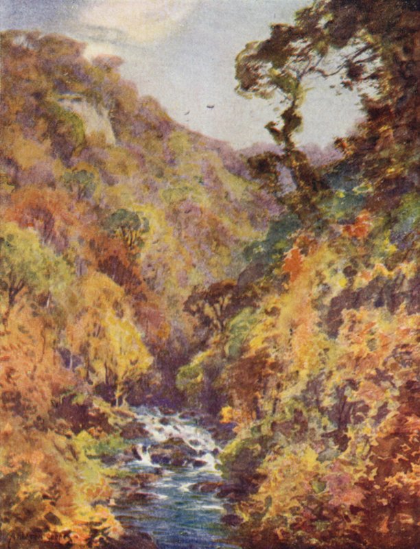 Dargle, Wicklow