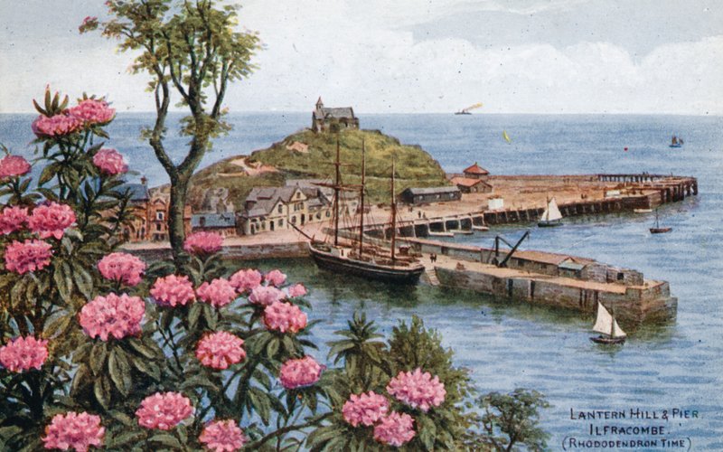 Lantern Hill ja Pier, Ilfracombe, (Rhododendronin aika) tekijältä Alfred Robert Quinton