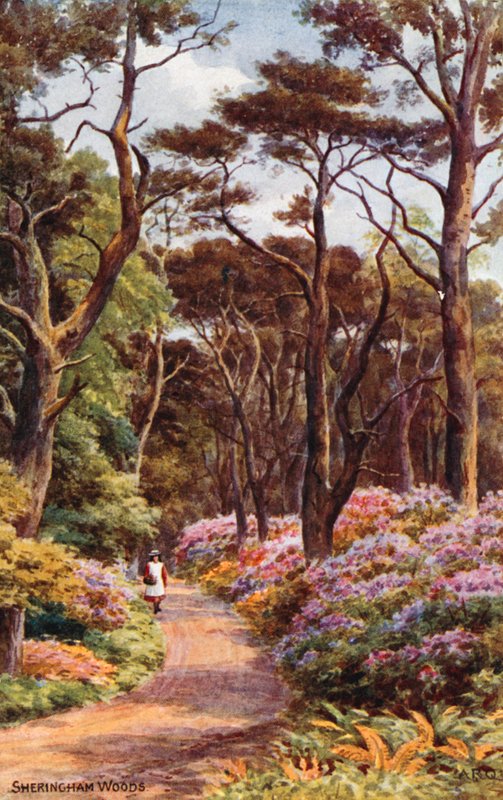 Sheringham Woods tekijältä Alfred Robert Quinton