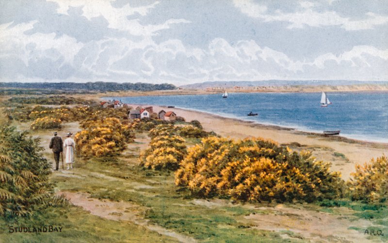 Studland Bay tekijältä Alfred Robert Quinton