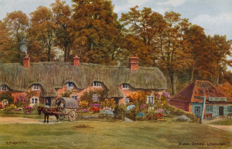 Swan Green, Lyndhurst tekijältä Alfred Robert Quinton