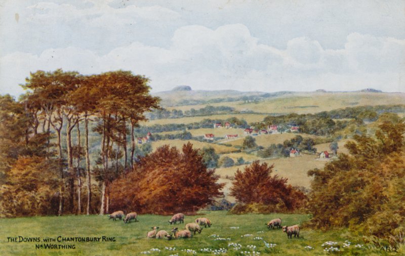 The Downs Chanctonbury Ringin kanssa, Nr Worthing tekijältä Alfred Robert Quinton