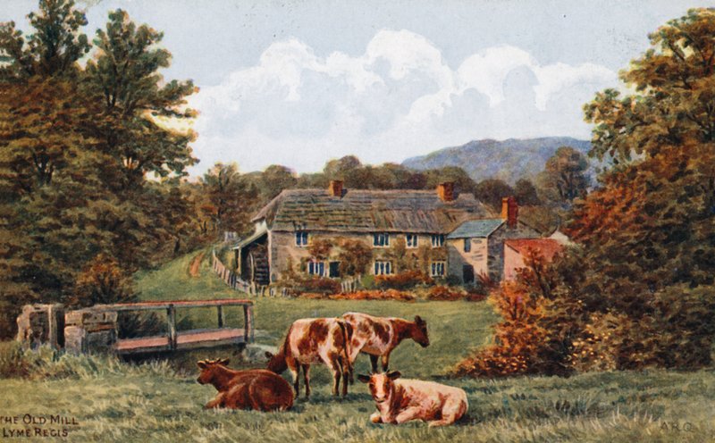 Vanha mylly, Lyme Regis tekijältä Alfred Robert Quinton