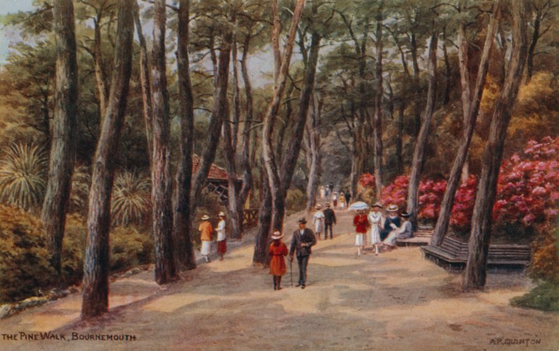 Pine Walk, Bournemouth tekijältä Alfred Robert Quinton