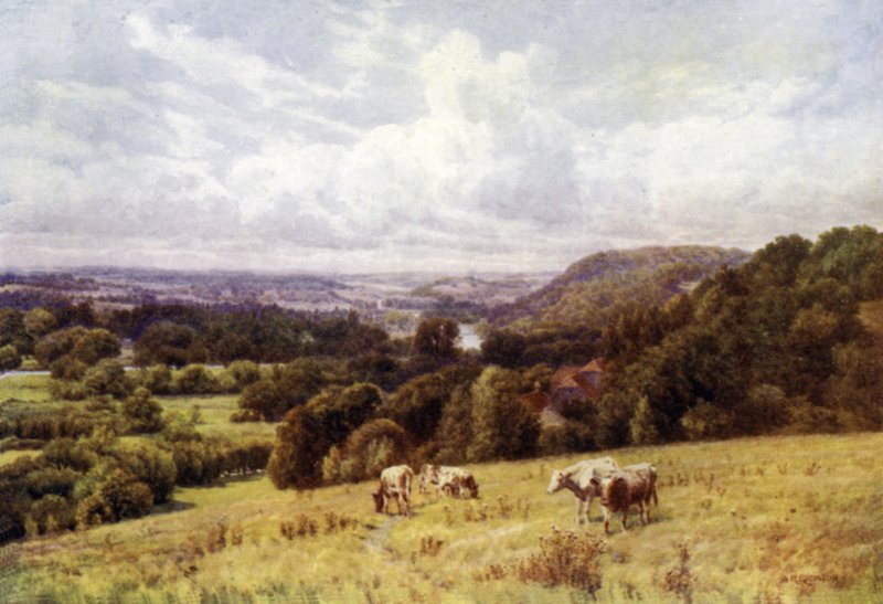 Thames Valleyn laakso Hennertonista, Henleystä tekijältä Alfred Robert Quinton