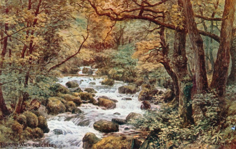 Torrent Walk, Dolgelley tekijältä Alfred Robert Quinton
