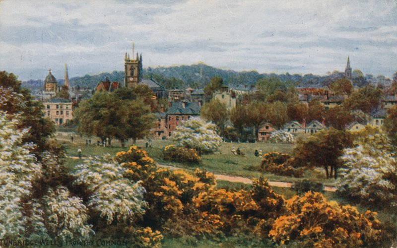 Tunbridge Wells Commonista tekijältä Alfred Robert Quinton