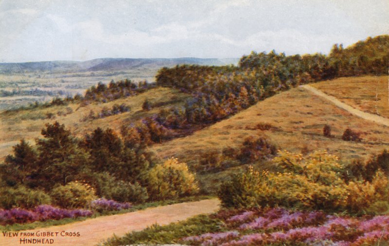 Näkymä Gibbet Crossilta, Hindhead tekijältä Alfred Robert Quinton