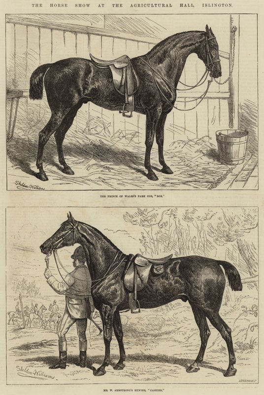 Horse Show Agricultural Hallissa, Islingtonissa tekijältä Alfred Sheldon Williams
