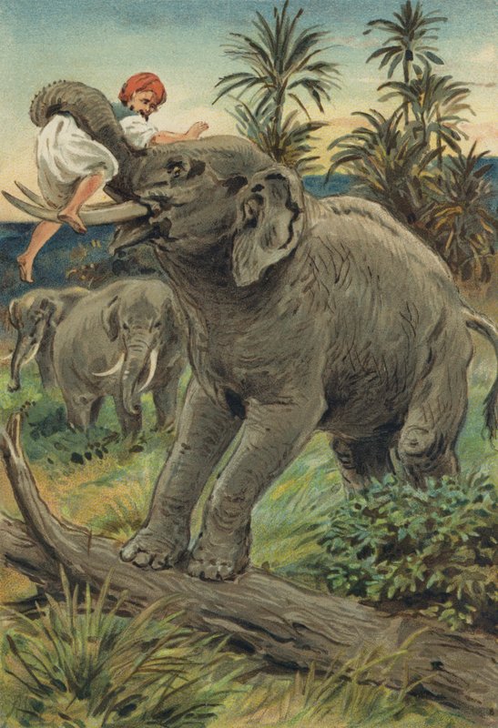 Arabian Nights: Sindbadin merimiehen historia tekijältä Alfred W. Cooper