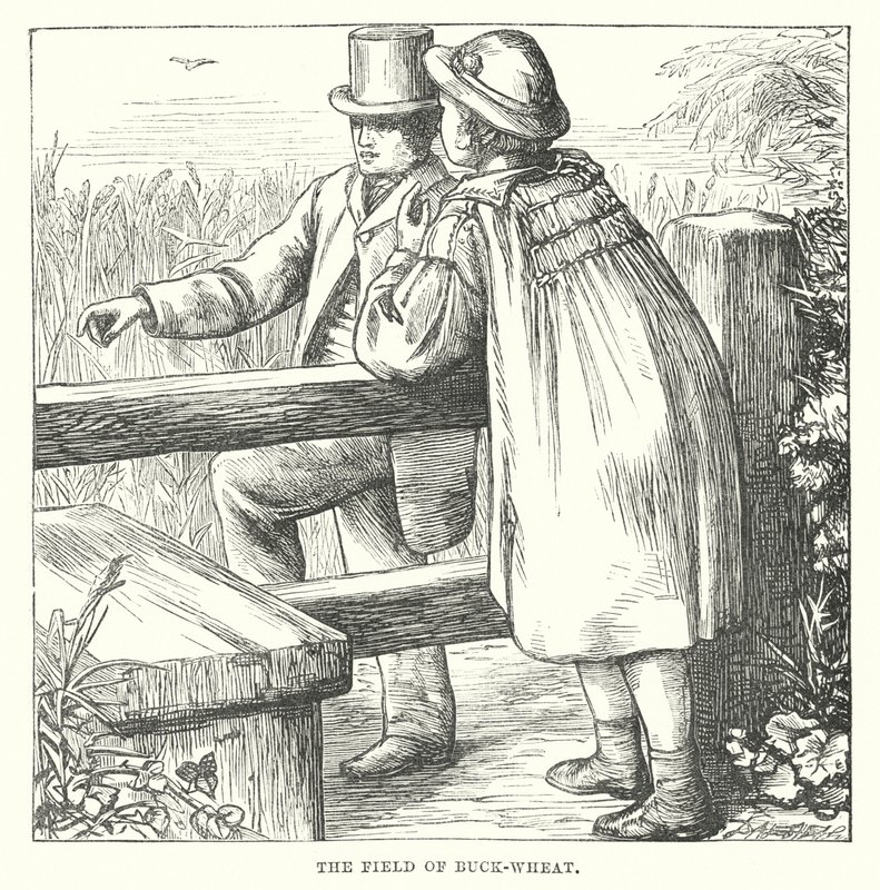  tekijältä Alfred Walter (after) Bayes